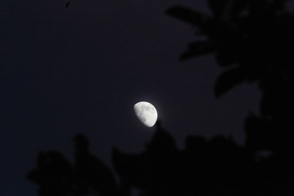 夜空に浮かぶ月