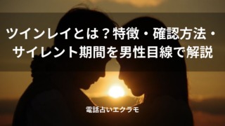「ツインレイとは?特徴・確認方法・サイレント期間を男性目線で解説」のイメージ