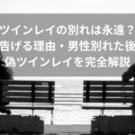 「ツインレイの別れは永遠？女性から告げる理由・男性別れた後の変化・偽ツインレイを完全解説」のイメージ