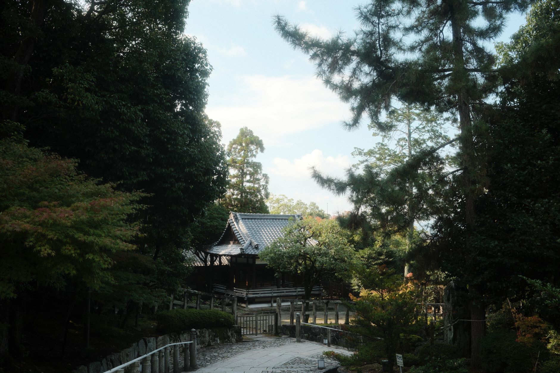 縁切り神社 参道 早朝 京都